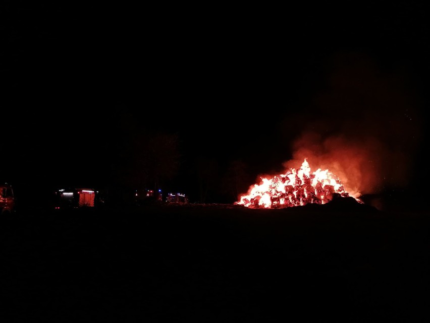 Pożar w gminie Połczyn-Zdrój. Ogień na polu [zdjęcia]
