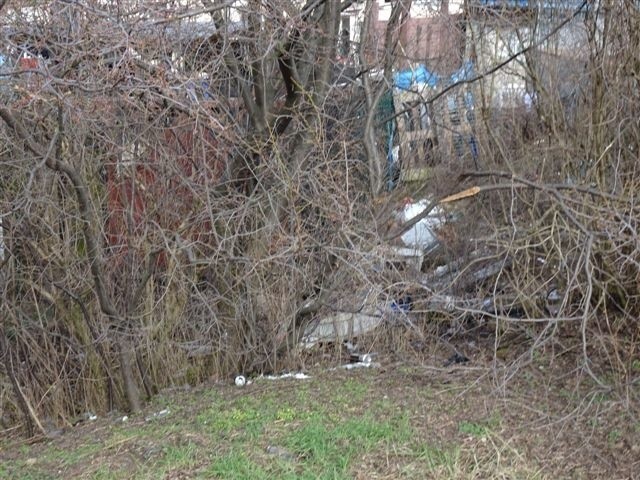 Po raz kolejny nasi sąsiedzi z bloków wyrzucili góry śmieci...