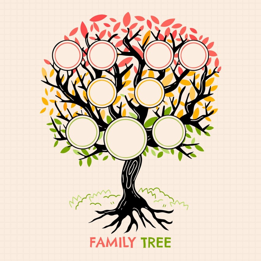 Do zrobienia drzewa genealogicznego można użyć gotowego...