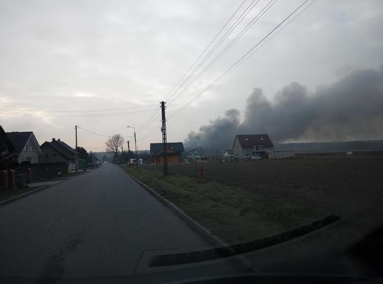 Pożar składowiska opon i odpadów gaszono przez kilka dni