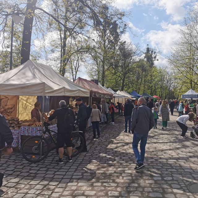 Wrocławskie Partynice stały się stolicą roślin. Jeszcze tylko do godziny 17:00 będzie można zobaczyć, a także kupić niesamowite okazy.