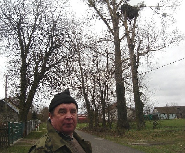 Ptaki nie chciały zamieszkać w uszkodzonym gnieździe - twierdzi Mirosław Posłowski 