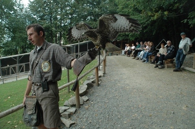 Leśny Park Niespodzianek, w którym można zobaczyć egzotyczne zwierzęta i pokazy ptaków drapieżnych, znowu odwiedzili złodzieje.