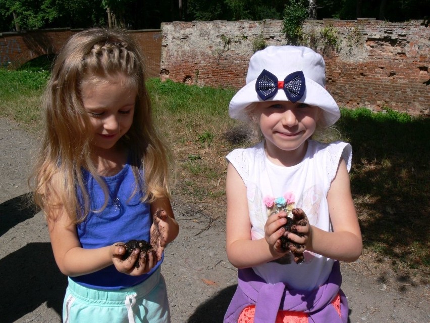 Na pomoc pszczołom w Tarnobrzegu! Dzieci rozrzuciły ekologiczne bomby z nasionami