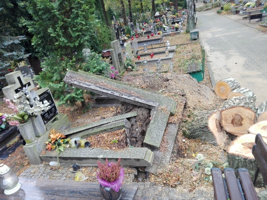 Stary cmentarz przy ul. Wrocławskiej w Zielonej Górze...