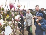 Ruszyły Wiosenne Targi Ogrodnicze i Pszczelarskie w Szepietowie