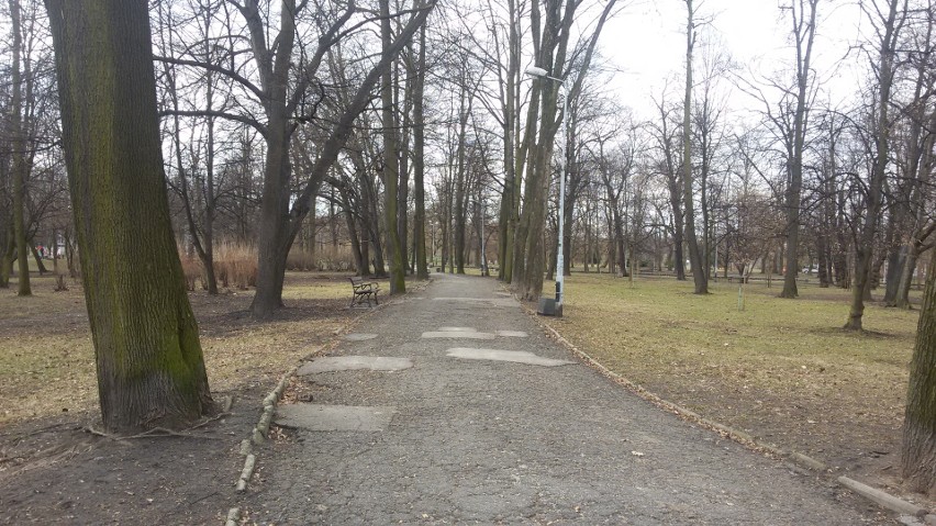 W Parku Sieleckim w Sosnowcu zrewitalizują alejki ZDJĘCIA