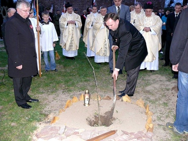 Jeden z Dębów pamięci sadzą posłowie Krzysztof Lipiec i Marek Kwitek