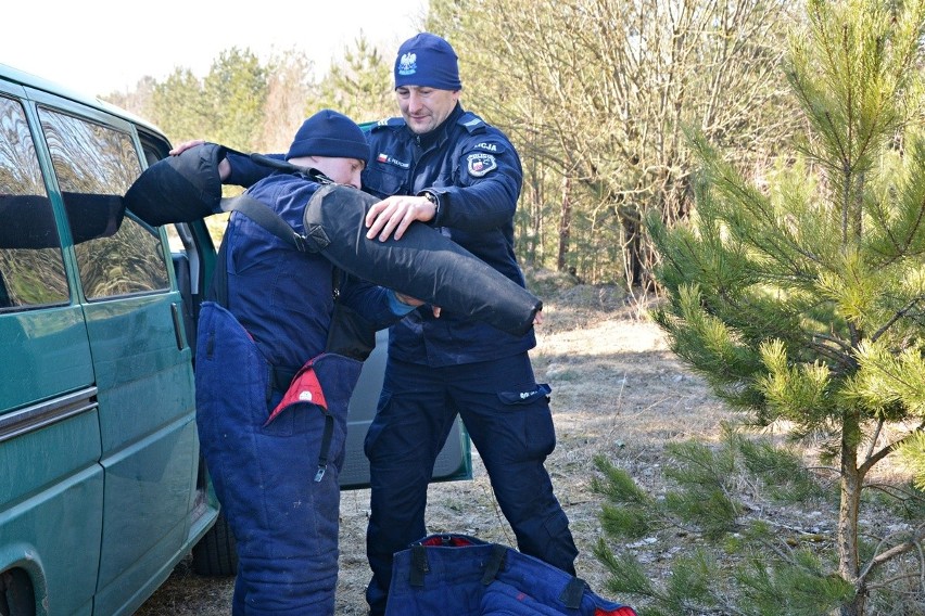 "Gliniarze" bez mundurów ćwiczą formę. Zobacz, jak wyglądało szkolenie policyjnych psów w Suwałkach (zdjęcia)