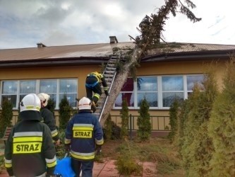 Po nawałnicy. W Roztoce Brzeziny skończyło się bez ofiar w ludziach