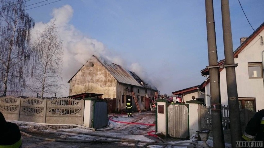 Pożar budynku gospodarczego w Gogolinie.