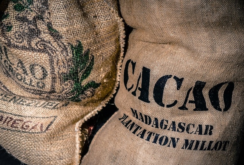 Ciekawostką jest fakt, że w Europie kakao trafiło głównie na...