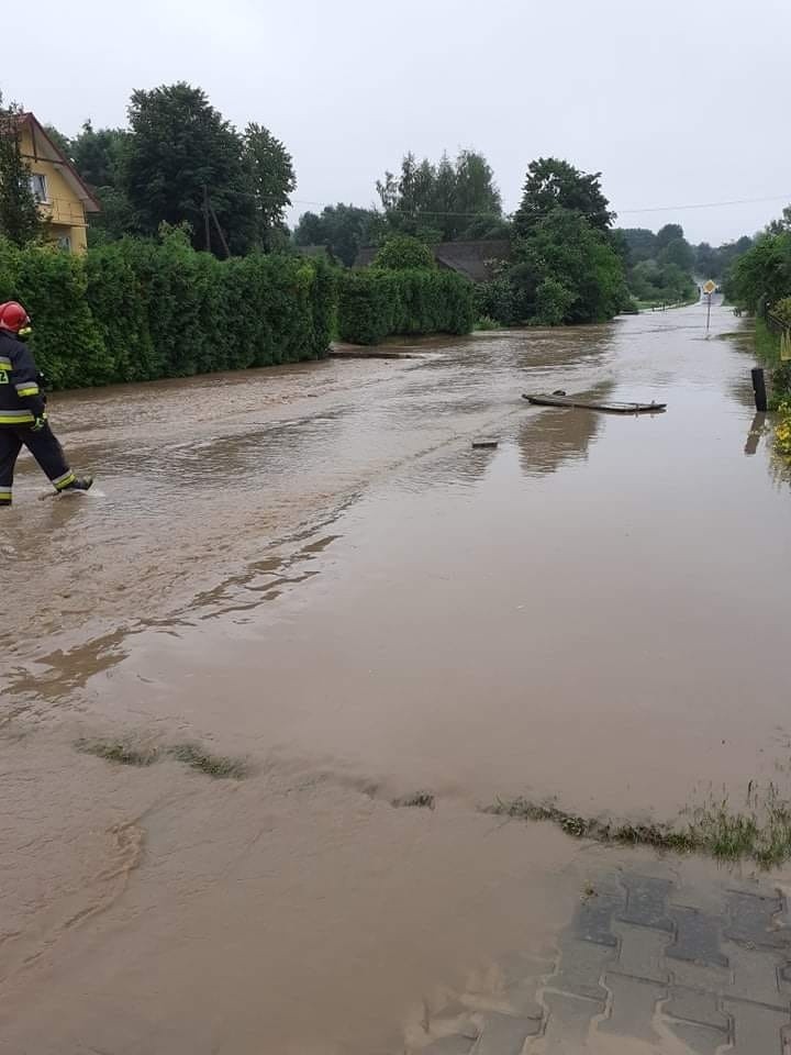 Powiat chełmski. Powalone drzewa, zalania i podtopienia. Krajobraz zniszczeń po ulewach