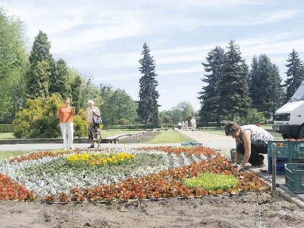 Pracę ogrodników podziwiają kuracjusze. Na zdjęciu:  Beata Kornaszewska sadzi kwiaty przed Łazienkami.