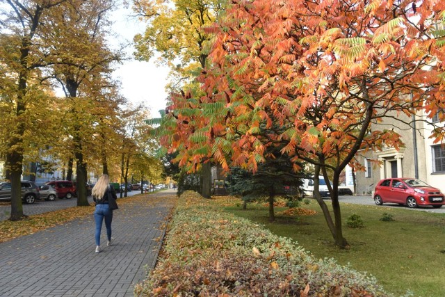 Nadchodzi ocieplenie. Znowu będzie ciepło! Prognoza pogody