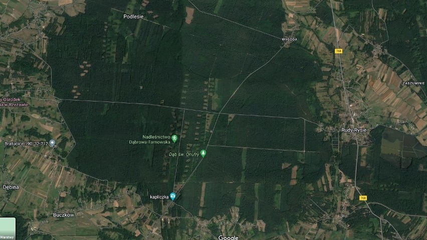 Do pożaru doszło w kompleksie leśnym na pograniczu Bratucic...
