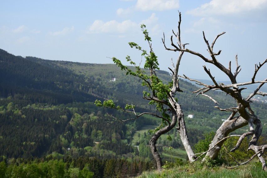 Widok na Sanktuarium Matki Boskiej Pomocnej na Przecznej...