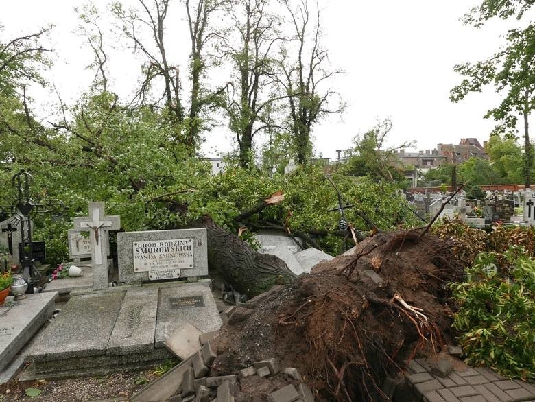 Białystok chce pomóc Pomorzanom