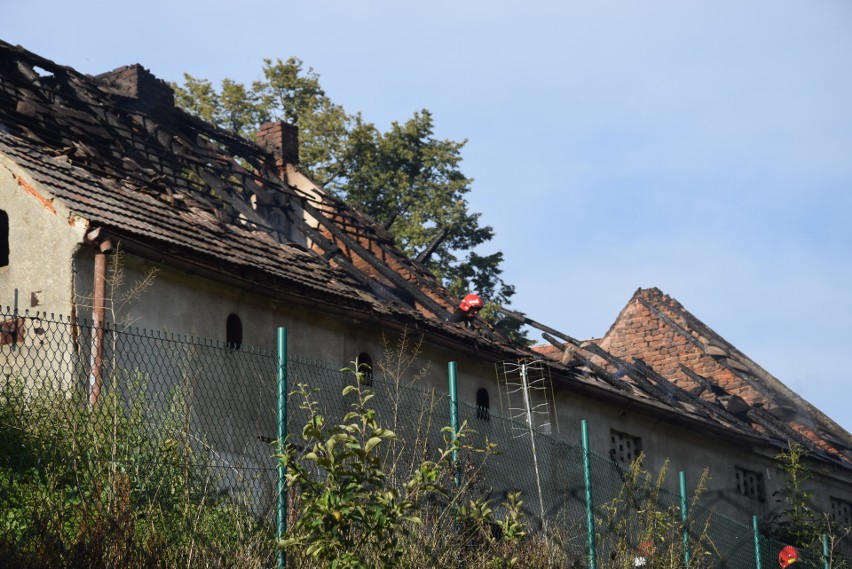 Wybuch butli z gazem i pożar domu w Starym Lesie.