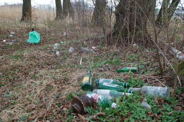 Przy wieży Bismarcka w Szczecinku można natknąć się na takie śmieci.