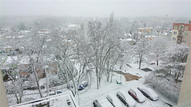 Śnieżyce w Lubuskiem. Tak wygląda sytuacja w naszym regionie - ZOBACZCIE ZDJĘCIA >>>