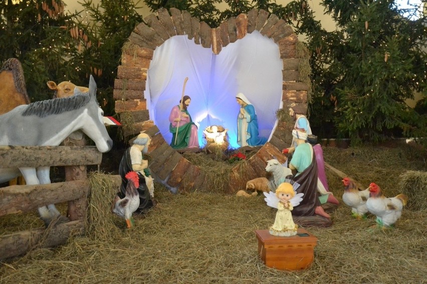 W okresie świąt Bożego Narodzenia w każdym kościele stoi...