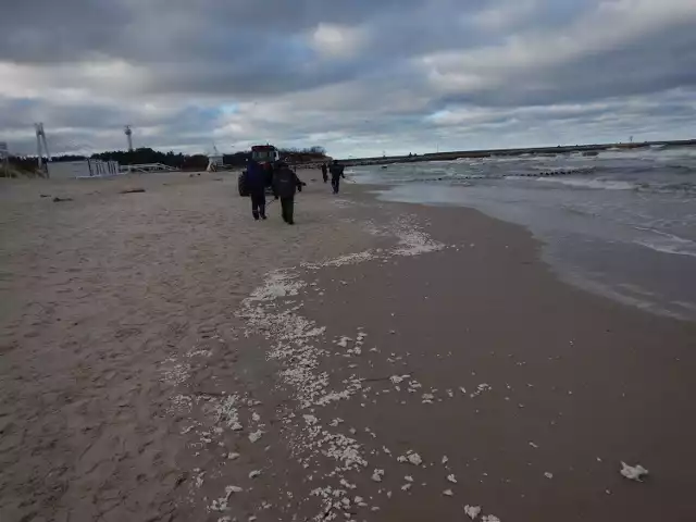Wciąż akcja zbierania parafiny z plaży w Ustce.