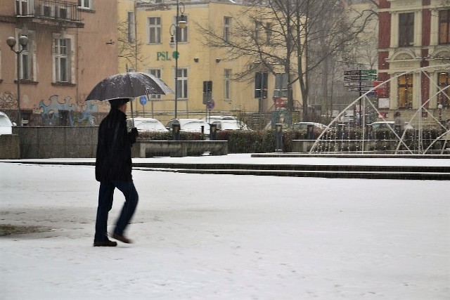 W Zielonej Górze i kilku innych miastach w Lubuskiem pada śnieg! Intensywne opady deszczu ze śniegiem zaczęły się w poniedziałek, 4 grudnia między godziną 9 a 10 rano. Kilkadziesiąt minut później padał już sam biały puch. Mimo że do kalendarzowej i astronomicznej zimy, która rozpocznie się dopiero 21 grudnia jeszcze daleko, to już teraz możemy cieszyć się namiastką zimowej aury. W zaledwie kilkadziesiąt minut Zieloną Górą i okolice pokrył biały puch. Jaka będzie zima 2017/2018? Według prognoz meteorologów na początku grudnia możemy spodziewać się niewielkich opadów, a prawdziwa zima przyjdzie dopiero w styczniu. Czy ich przewidywania są słuszne? Synoptycy nie wykluczają białych świąt i tego, że do początku nowego roku jeszcze wszystko może ulec zmianie. Przewidywania mówią, że zima będzie bardzo mroźna. Niestety w mniej komfortowej sytuacji są kierowcy, zwłaszcza ci, którzy jeszcze nie zdążyli zmienić swoich opon na zimowe. Wszystkim zmotoryzowanym zalecamy szczególną ostrożność, zmianę opon z letnich i zaopatrzenie się w odpowiedni do warunków płyn do spryskiwaczy.Nasz region powoli zabarwia się na biało. A jak jest u Was? Też już pada?SPRAWDŹ GDZIE AKTUALNIE PADA ŚNIEG:Jak przygotować smachód do zimy: