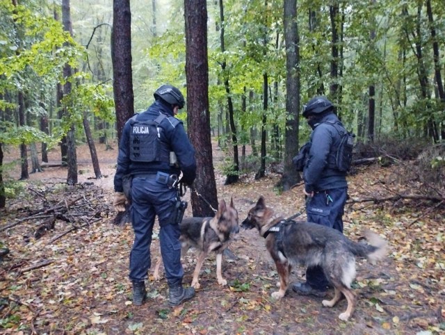 Policja jest przekonana, że Grzegorz Borys ukrywa się w gdyńskim lesie.