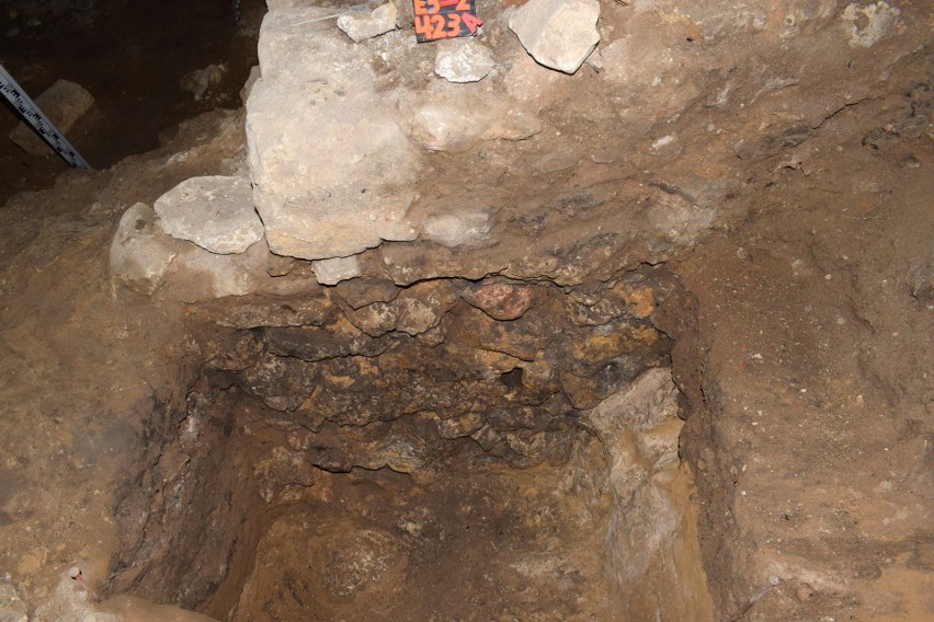 Sensacja archeologiczna koło Częstochowy. Narzędzia neandertalczyków sprzed 40 000 lat odnalezione pod zamkiem w Olsztynie
