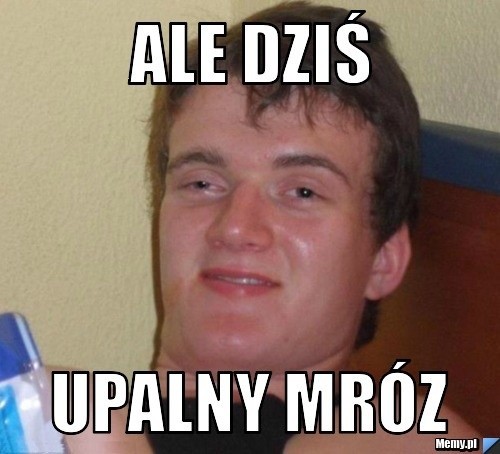 Pierwsze jesienne przymrozki już za nami. Internauci...