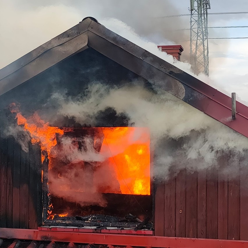 Widowiskowe ćwiczenia strażaków-ochotników z ziemi strzyżowskiej. Gasili pożar domu [ZDJĘCIA]