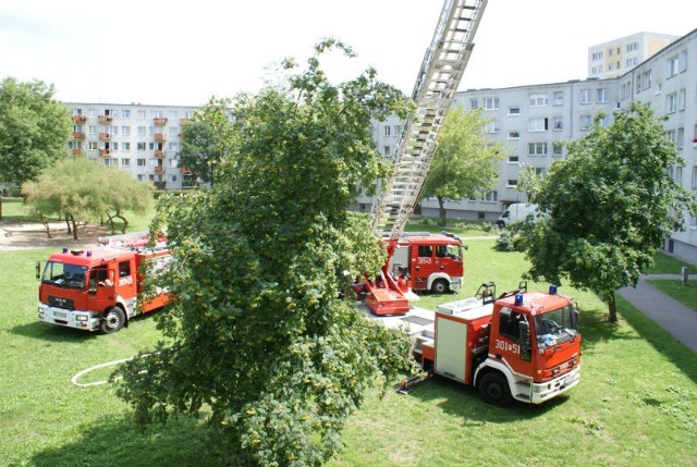 Na Winiarach płonęła papa na dachu