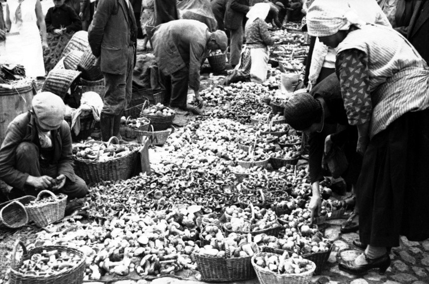 Kraków. Rynek Główny pełen grzybów. Tak handlowano skarbami lasu [ARCHIWALNE ZDJĘCIA]