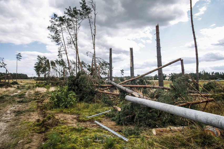 Nawałnica spowodowała na Pomorzu ogromne zniszczenia