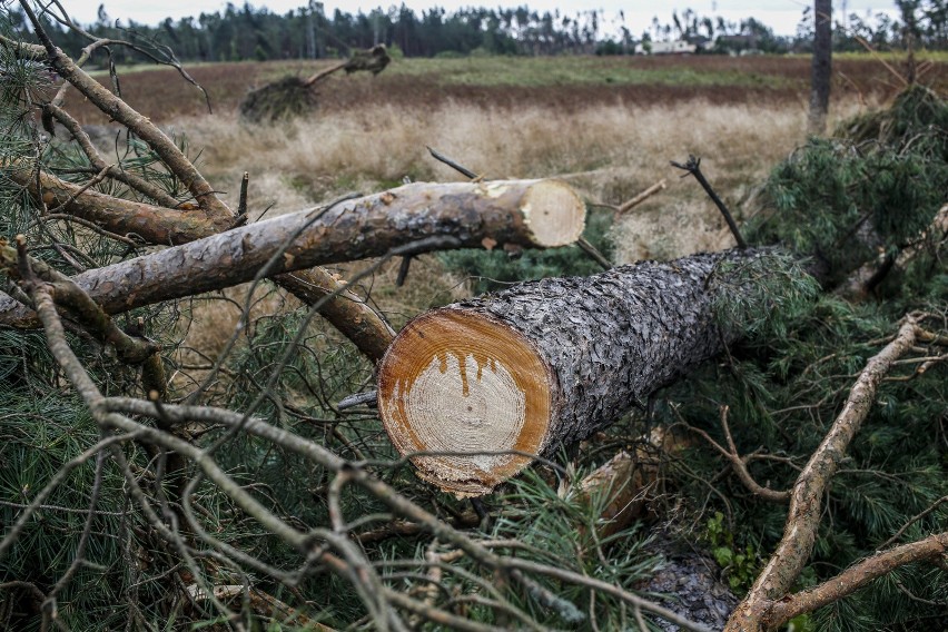 Nawałnica spowodowała na Pomorzu ogromne zniszczenia