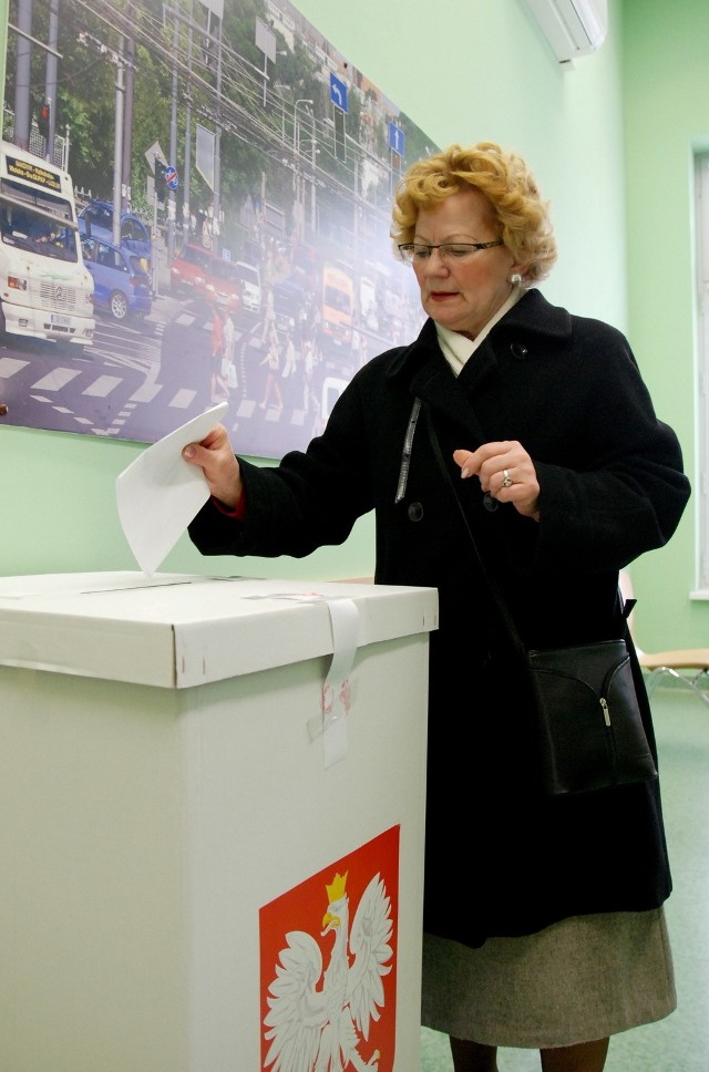 Wybory do rad dzielnic w Lublinie