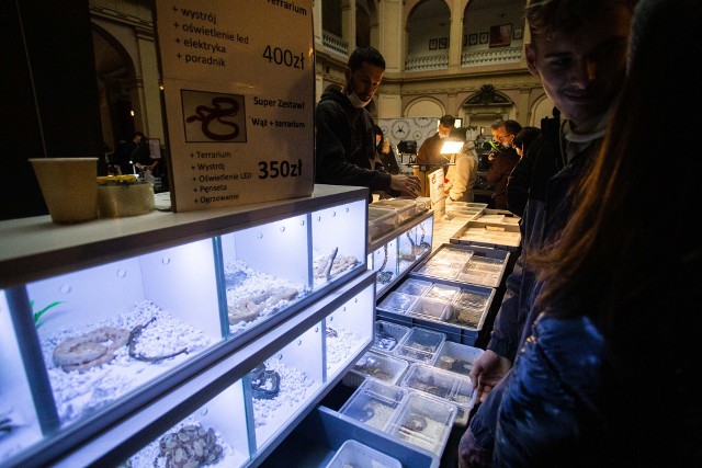 Cieszące się ogromną popularnością we Wrocławiu targi zwierząt egzotycznych odbyły się w niedzielę (12 grudnia) w budynku Naczelnej Organizacji Technicznej.