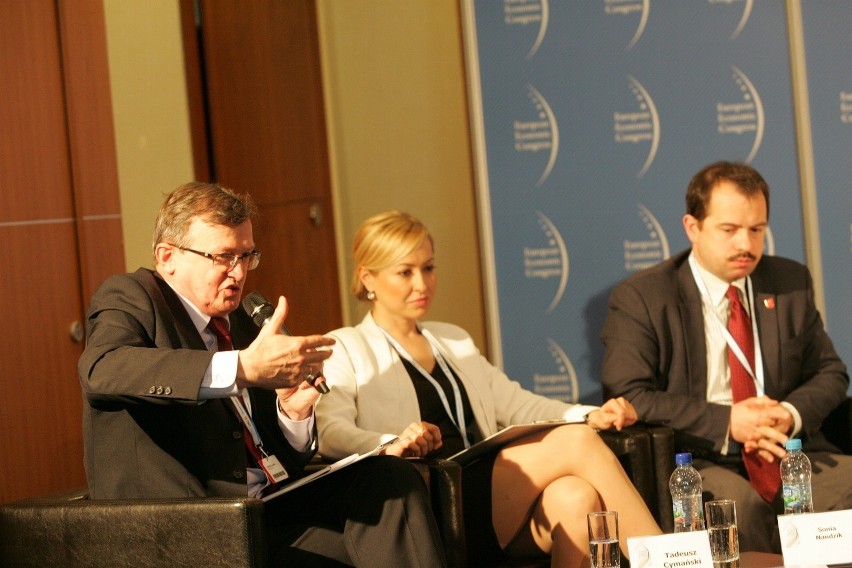 EEC: Śląscy politycy w Europarlamencie Debata DZ