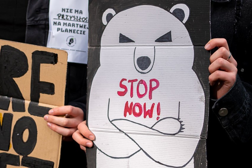 Nowy Sącz. Młodzieżowy Strajk Klimatyczny na sądeckich plantach. Walczą o swoją przyszłość i planetę [ZDJĘCIA]