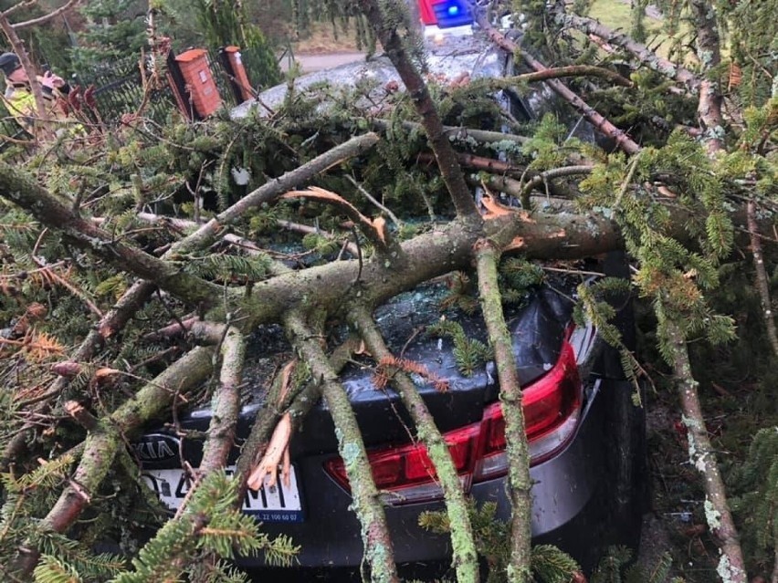 Wichura na Pomorzu [19.02]. Powalone drzewa, przerwy w dostawie prądu. Służby mają ręce pełne roboty!