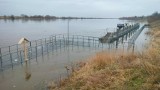 Wisłą znów płynie coraz więcej wody. Starosta malborski po raz drugi ogłosił pogotowie przeciwpowodziowe