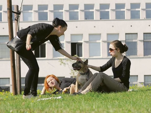 Magdalena Marchewka (IV), Anna Wawruch (II) i Martyna Plota (II) mają nadzieję, że także dla nich będzie to wyjątkowo dobry rok