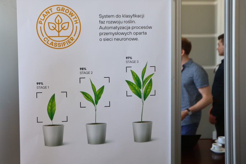System klasyfikacji faz rozwoju roślin może być elementem...
