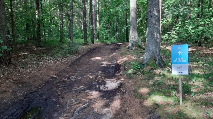 Single Track na Górze Chełmskiej to nowa atrakcja dla...