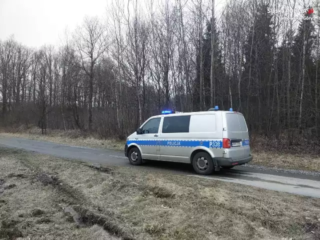 Spacerowicz natknął się na pocisk artyleryjski z czasu II wojny światowej.