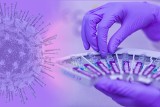 Firma Mabion chce produkować szczepionkę na koronawirusa. Polska firma farmaceutyczna ma porozumienie z firmą Novavax 