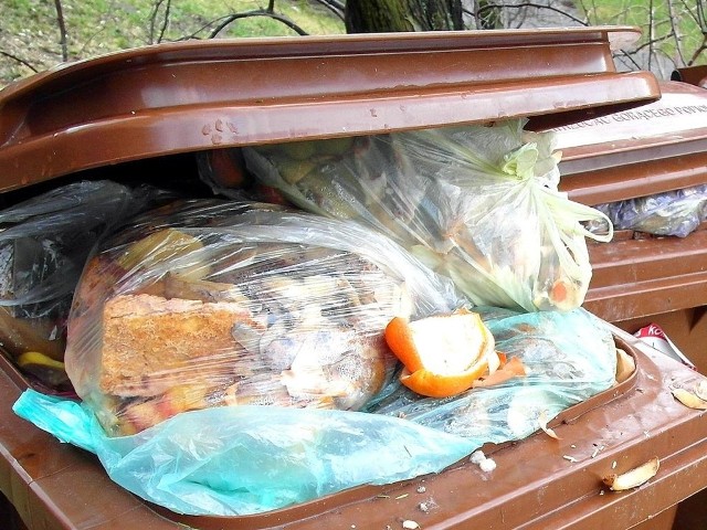 Wyrzucanie śmieci biodegradowalnych w workach to powszechna praktyka. - I największy obecnie problem - przekonują urzędnicy. Pełne pojemniki są jak "paśniki&#8221; dla szczurów.