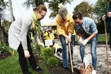 Fundacja Pomóż Im sadzi żonkilowe Pola Nadziei. Powstało ich już 67.