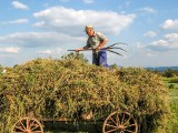 Marek Sawicki: PiS chce płacić rolnikom, by porzucali ojcowiznę